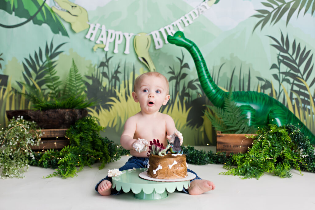 Green and tan dinosaur themed cake smash session