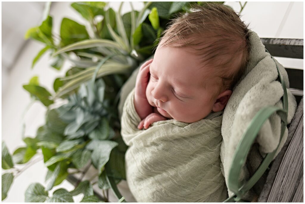 Newborn wrap bucket box pose | CB Studio, LLC Iowa Photographer | Greenery and succulent details