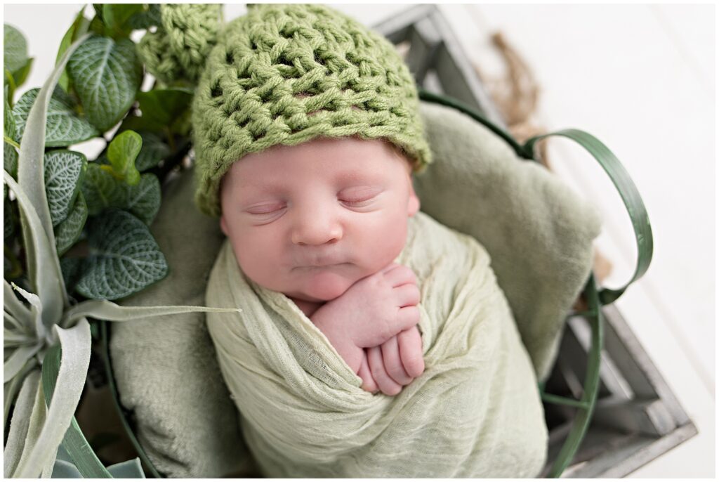 Newborn wrap bucket box pose | CB Studio, LLC Iowa Photographer | Greenery and succulent details