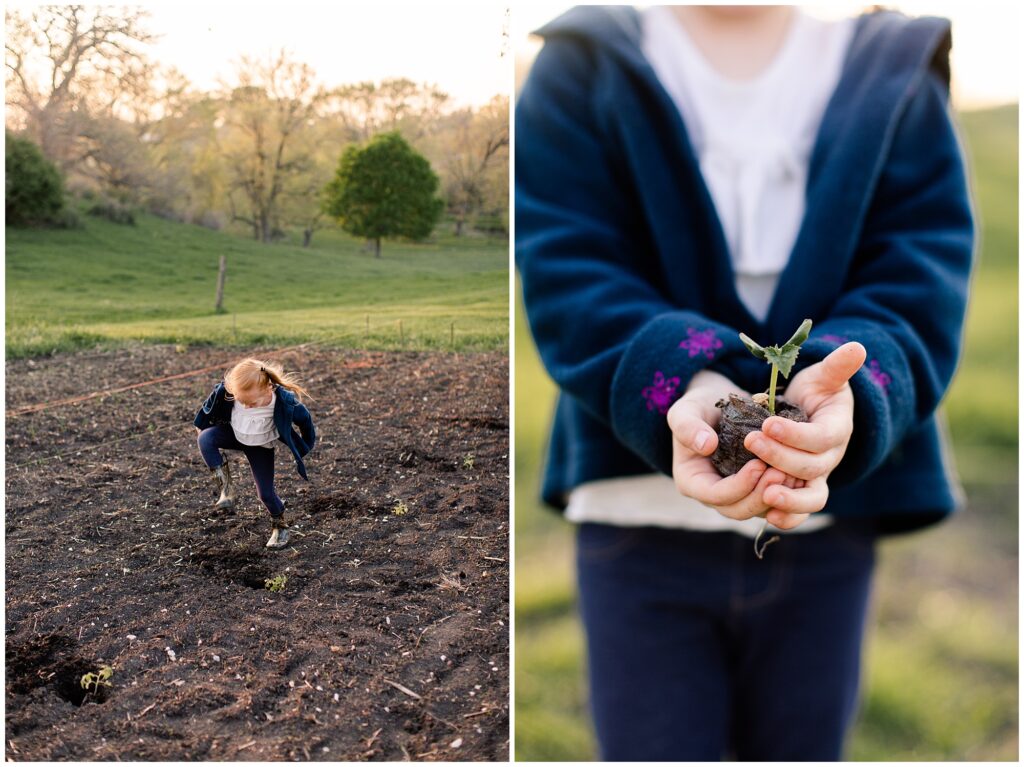 Behounek Garden 2019 | Iowa Photographer | CB Studio