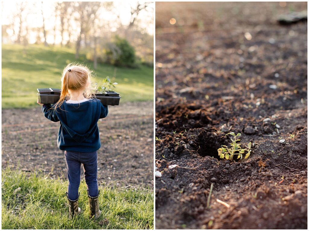 Behounek Garden 2019 | Iowa Photographer | CB Studio