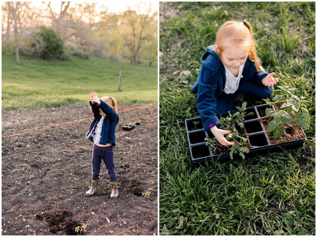 Behounek Garden 2019 | Iowa Photographer | CB Studio