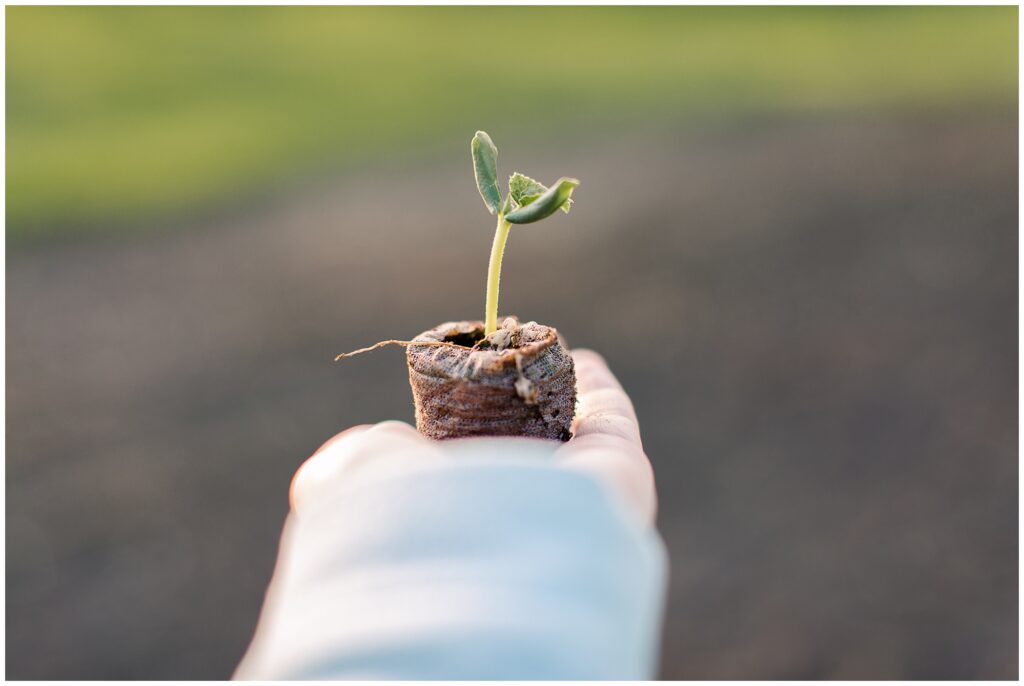 Behounek Garden 2019 | Iowa Photographer | CB Studio