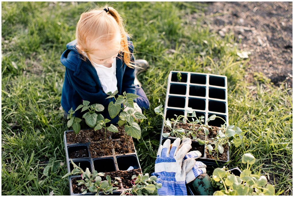 Behounek Garden 2019 | Iowa Photographer | CB Studio