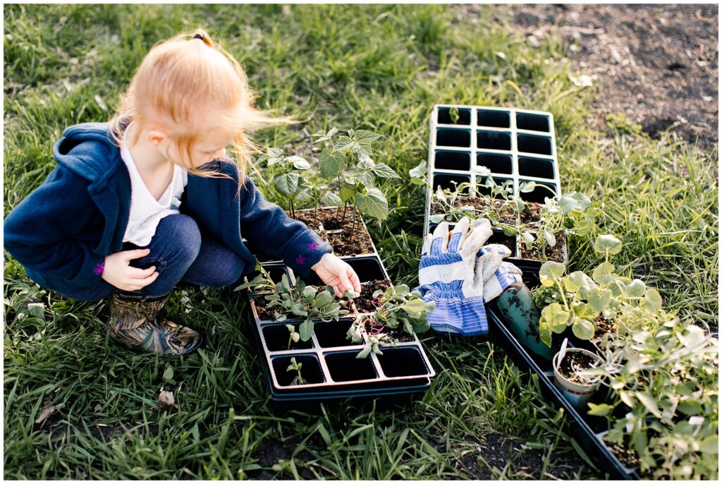 Behounek Garden 2019 | Iowa Photographer | CB Studio