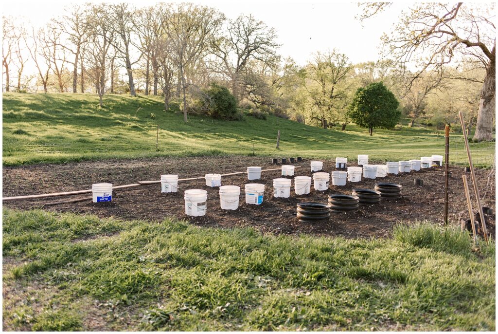 Behounek Garden 2019 | Iowa Photographer | CB Studio