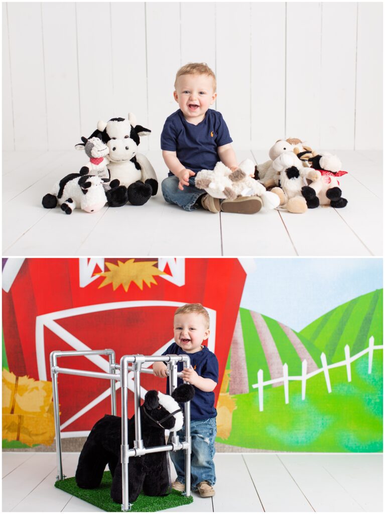 Farm themed sitter session | Cow themed one year session | Iowa Baby Photographer | CB Studio
