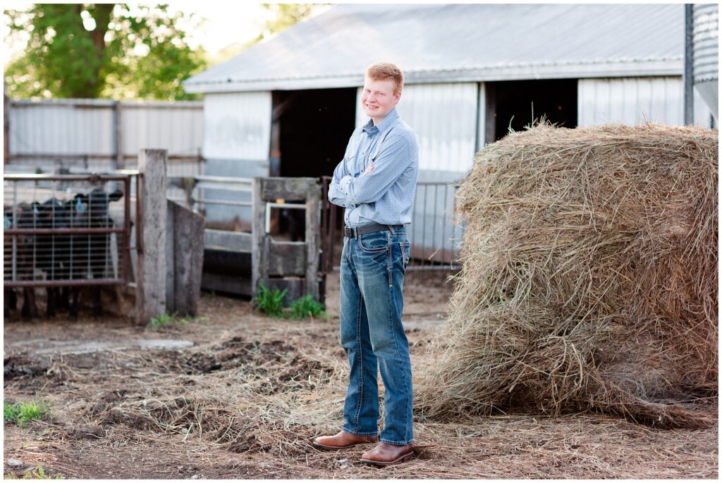 Senior photo by hay bales and cattle cows | Farm senior session | Iowa Senior Photographer | CB Studio