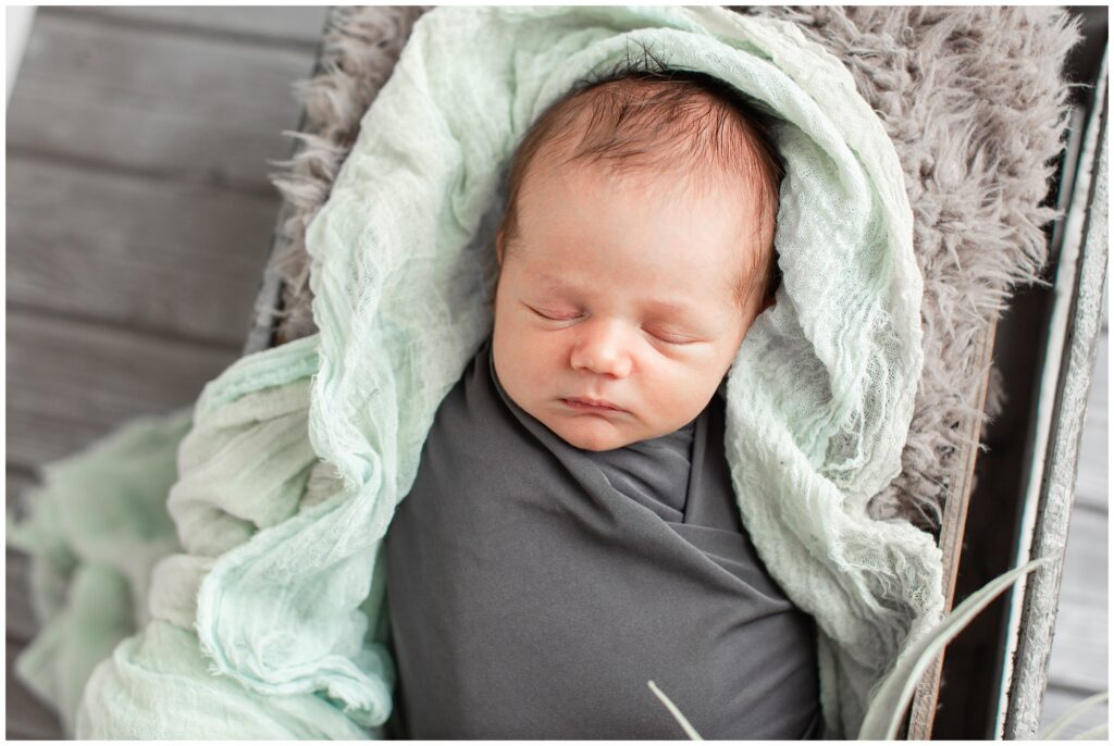 Newborn in grey box with succulents | Iowa Newborn Photographer | CB Studio