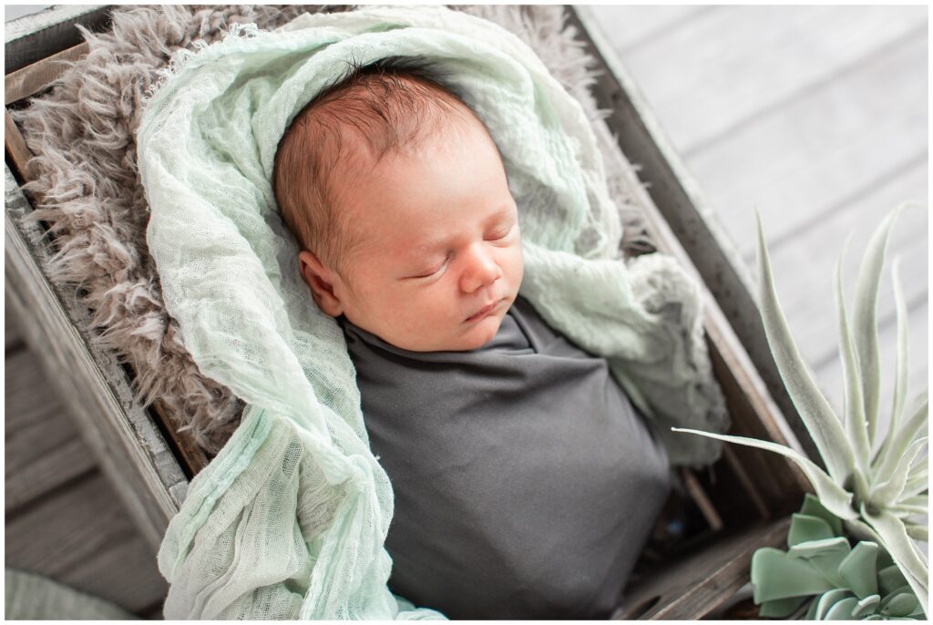 Newborn in grey box with succulents | Iowa Newborn Photographer | CB Studio