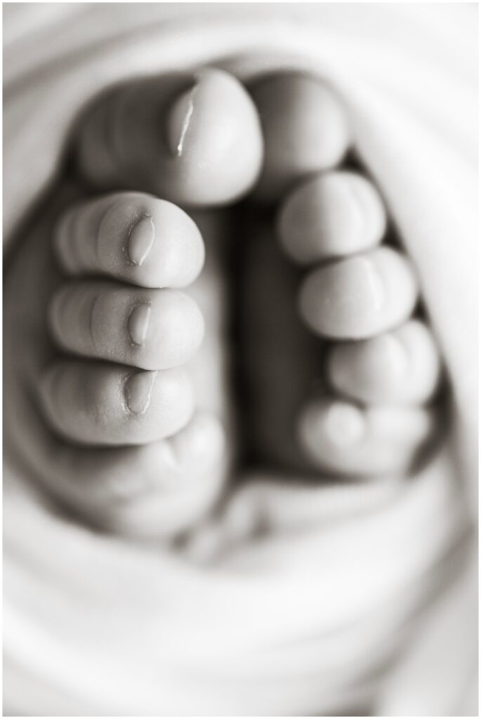 Baby toes details | Iowa Newborn Photographer | CB Studio
