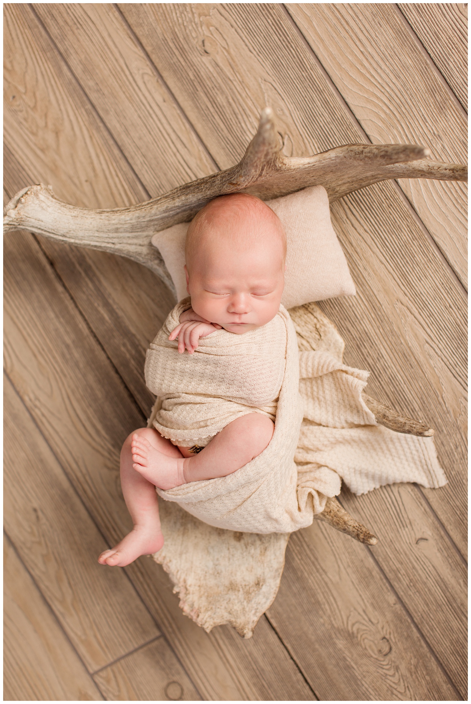 Newborn baby wrapped in a nude color swaddle laying in a moose antler on a wooden floor