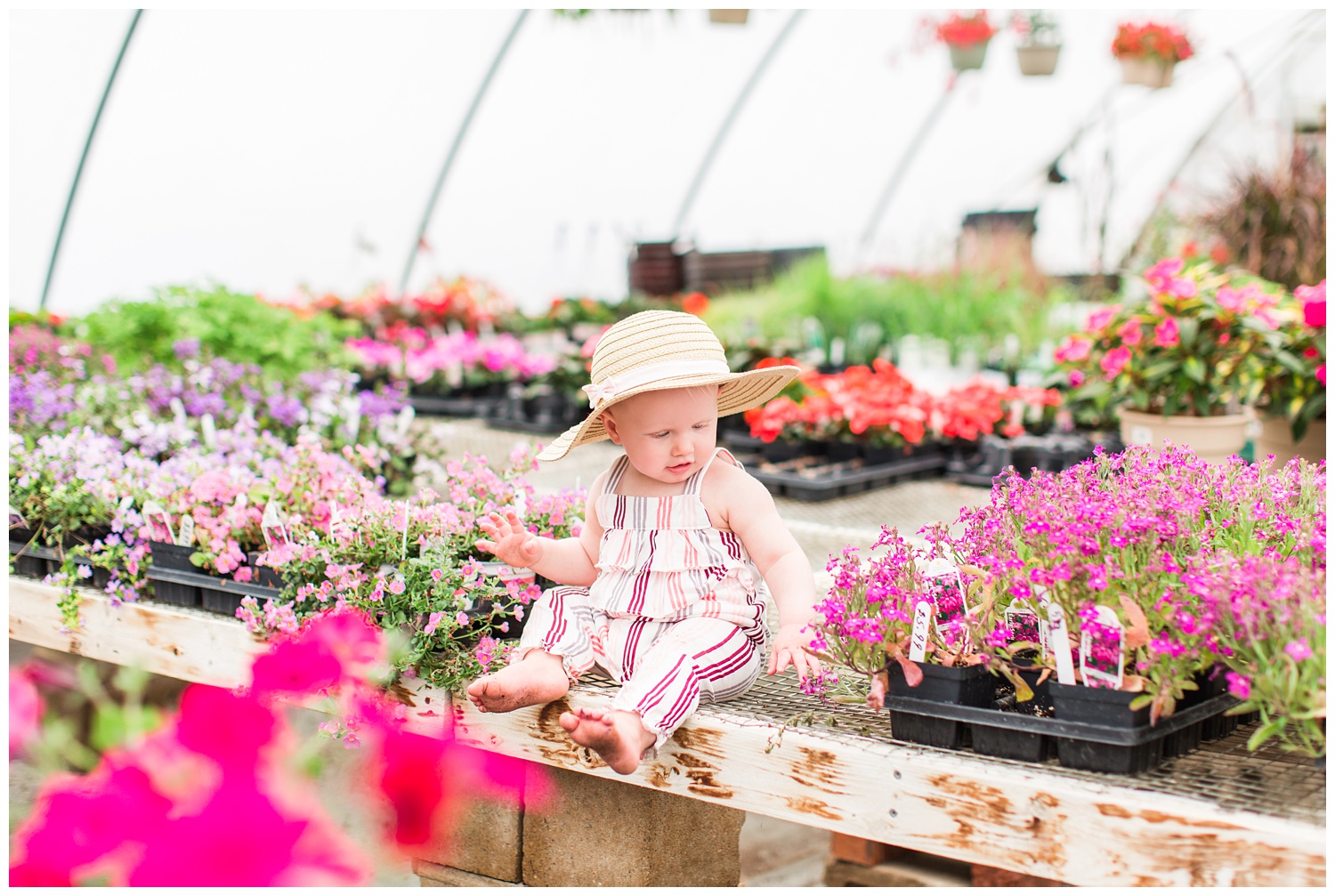Baby Ivy sitting among florals in a greenhouse wearing a fun floppy hat.
