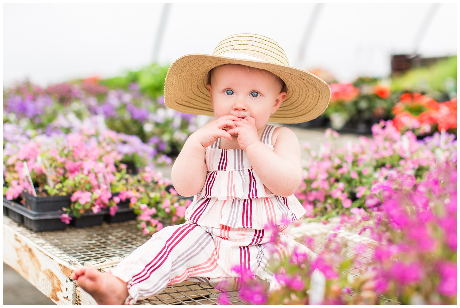 Baby Ivy sitting among florals in a greenhouse wearing a fun floppy hat.