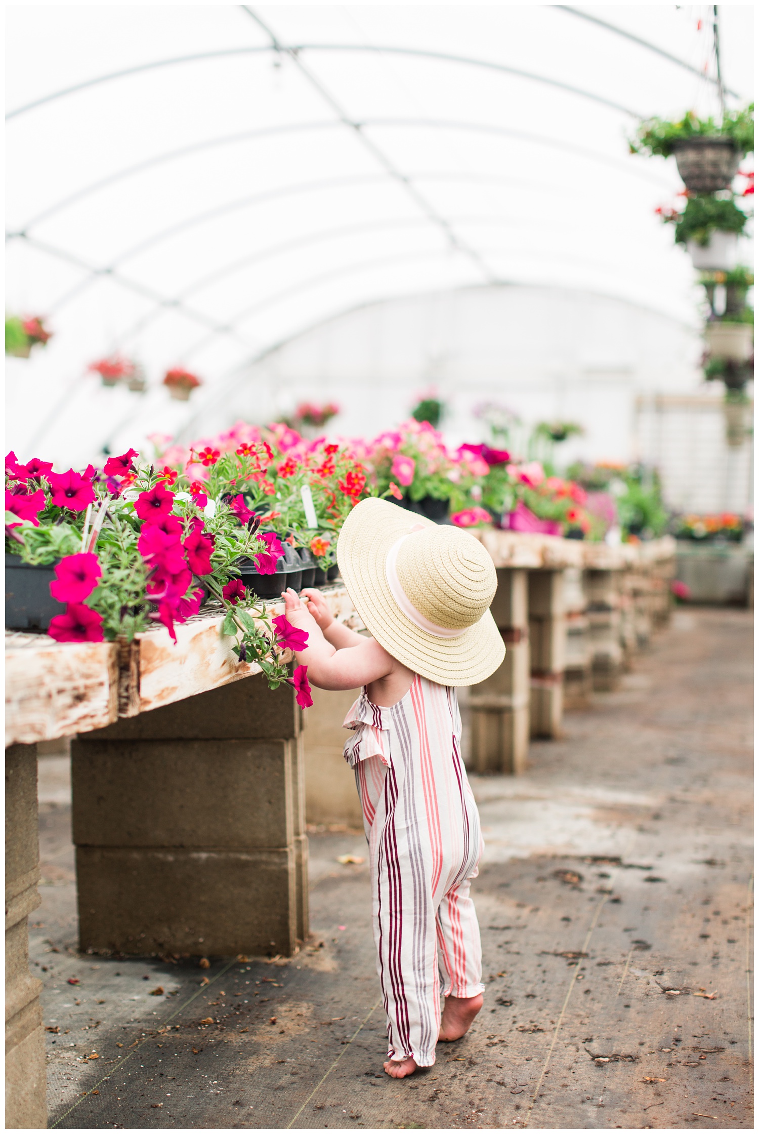 Baby Ivy standing along side florals in a greenhouse wearing a fun floppy hat.