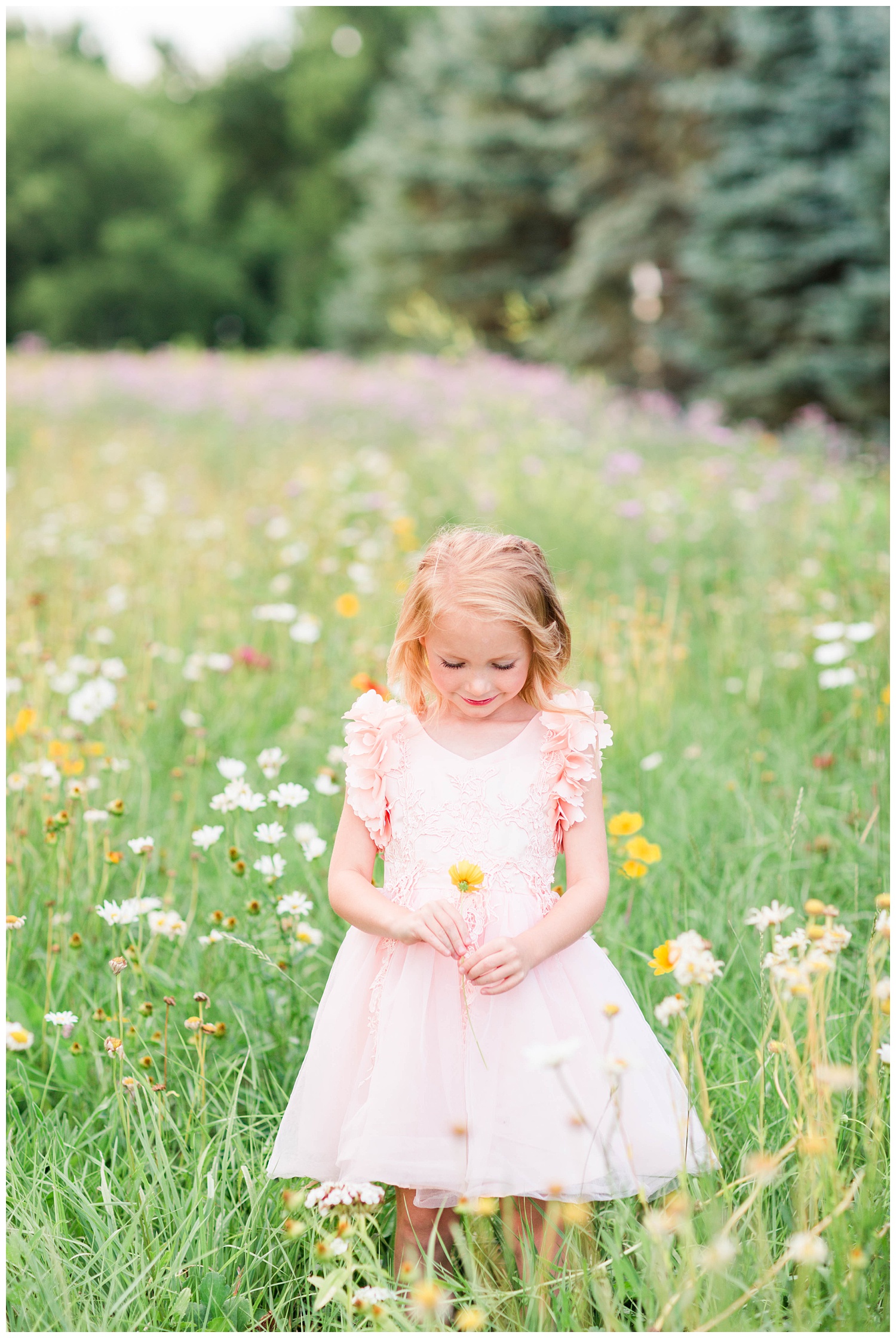 Little Liella stands in a field of wild flowers holding a yellow flower wearing tutu du monde couture dress by Trish Scully | CB Studio