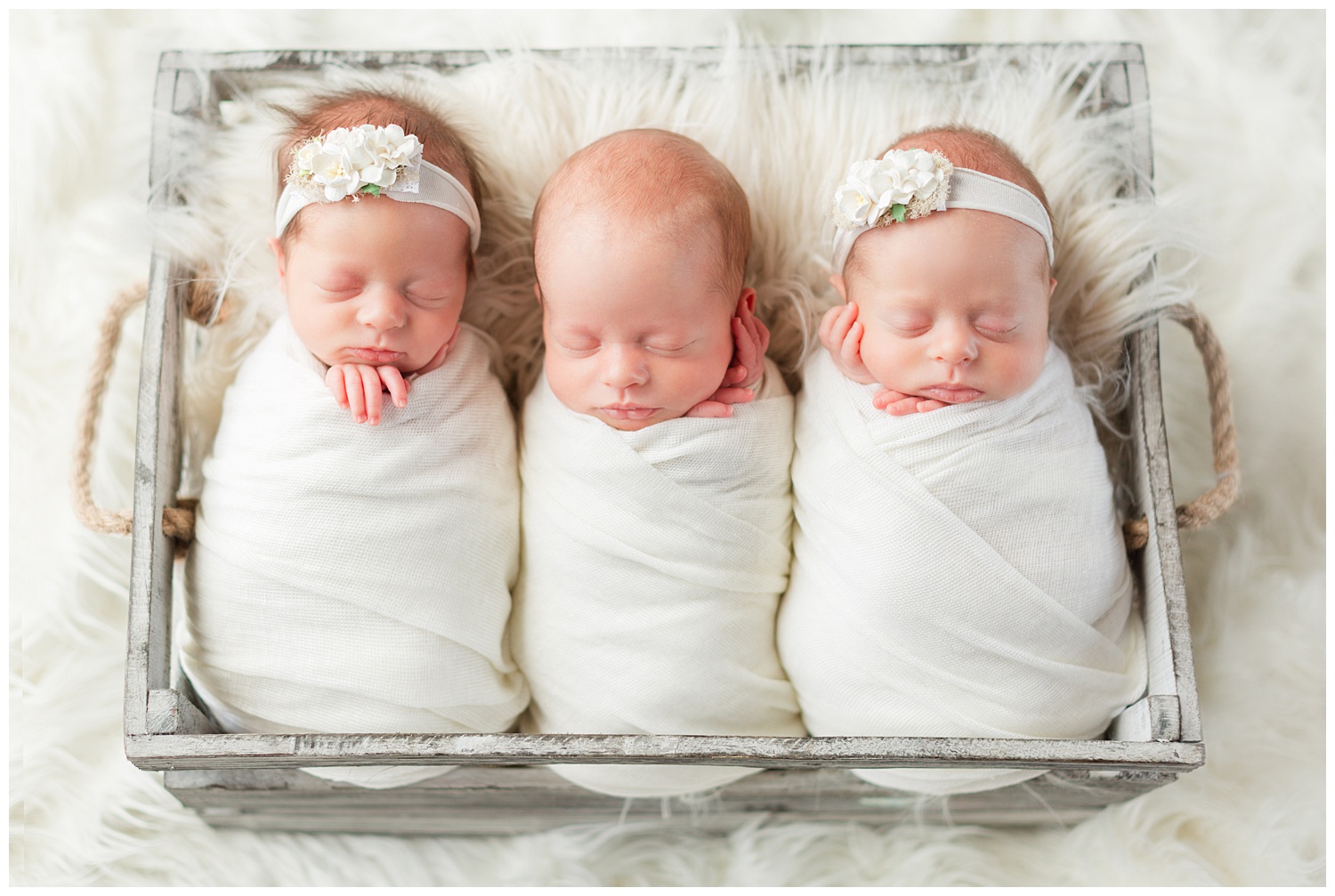 Triplet newborns Emery, Turner and Lydia snuggled together, wrapped up in cream and nestled in a wood box | CB Studio