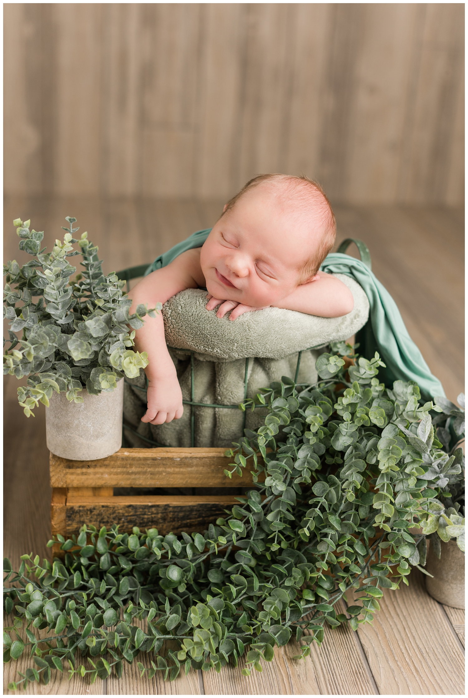 Newborn baby Lewis posed in a bucket surrounded by eucalyptus plants | CB Studio