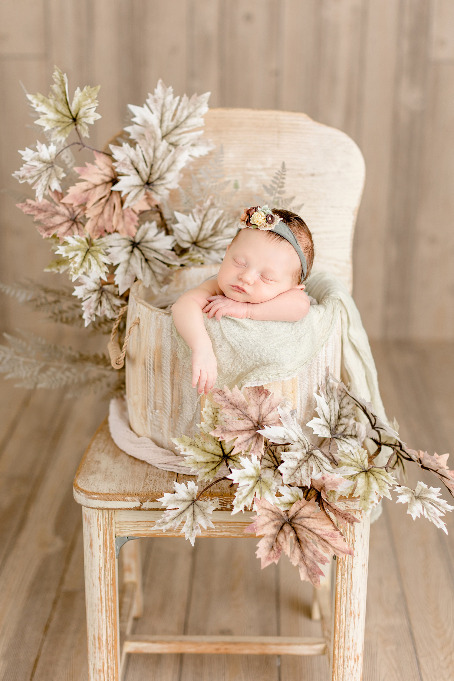 Baby Delilah nestled in a warm neutral bucket on a wooden chair surrounded by light neutral leaves | CB Studio