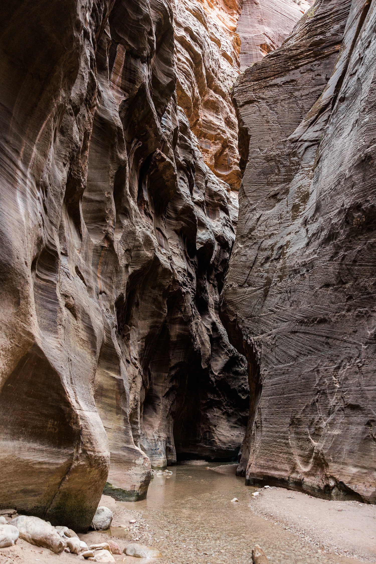 Orderville Canyon entrance at the Narrows hike in Zion National Park | CB Studio