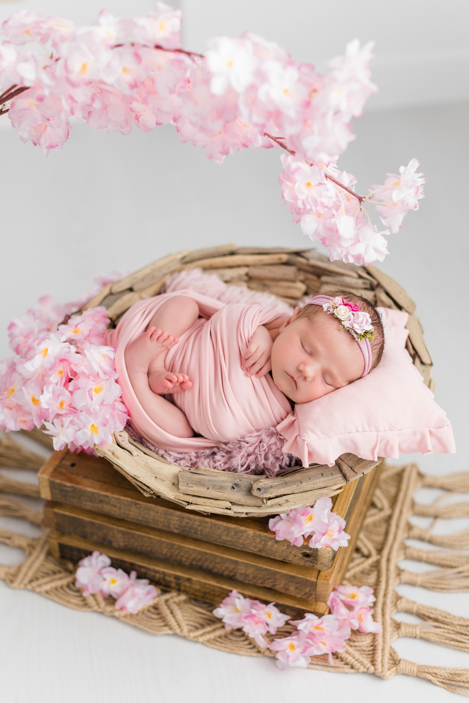 Baby Ivy wrapped in pink nestled in a wooden bowl surrounded by pink cherry blossoms | CB Studio