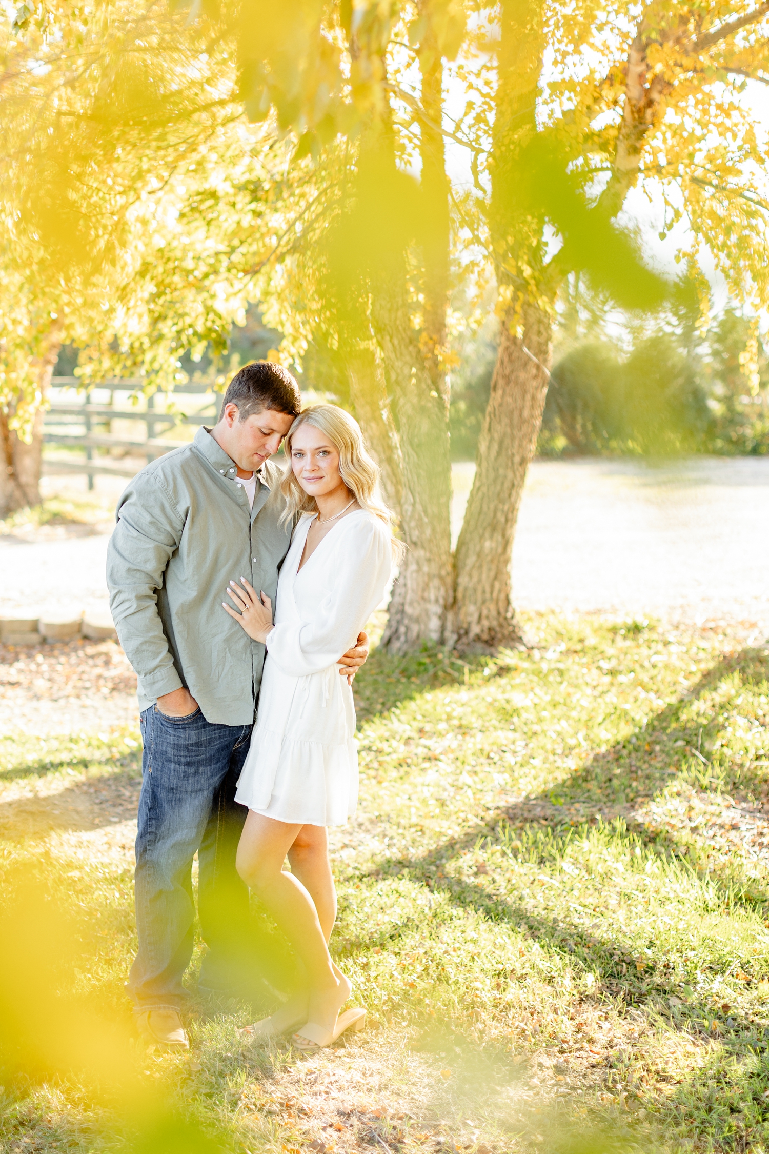 Reed nuzzles Nicole underneath golden birch trees at River Vally Orchards & Winery | CB Studio