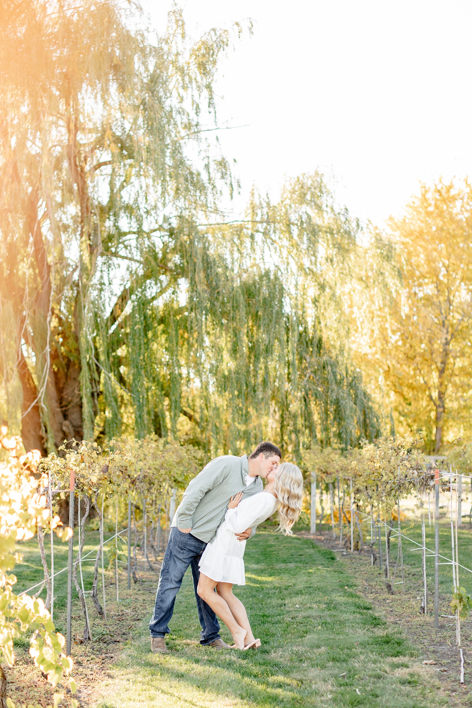 Reed dips Nicole for a kiss in between grape rows at River Vally Orchards & Winery | CB Studio