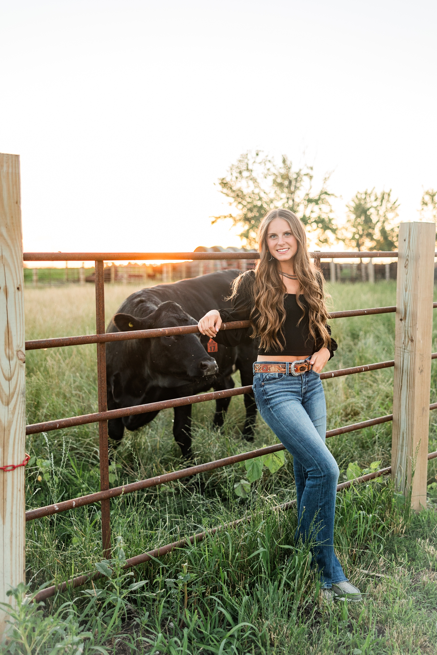 Ashton leans against a cattle gate on her Iowa Farm as a cow approaches from behind at golden hour | CB Studio