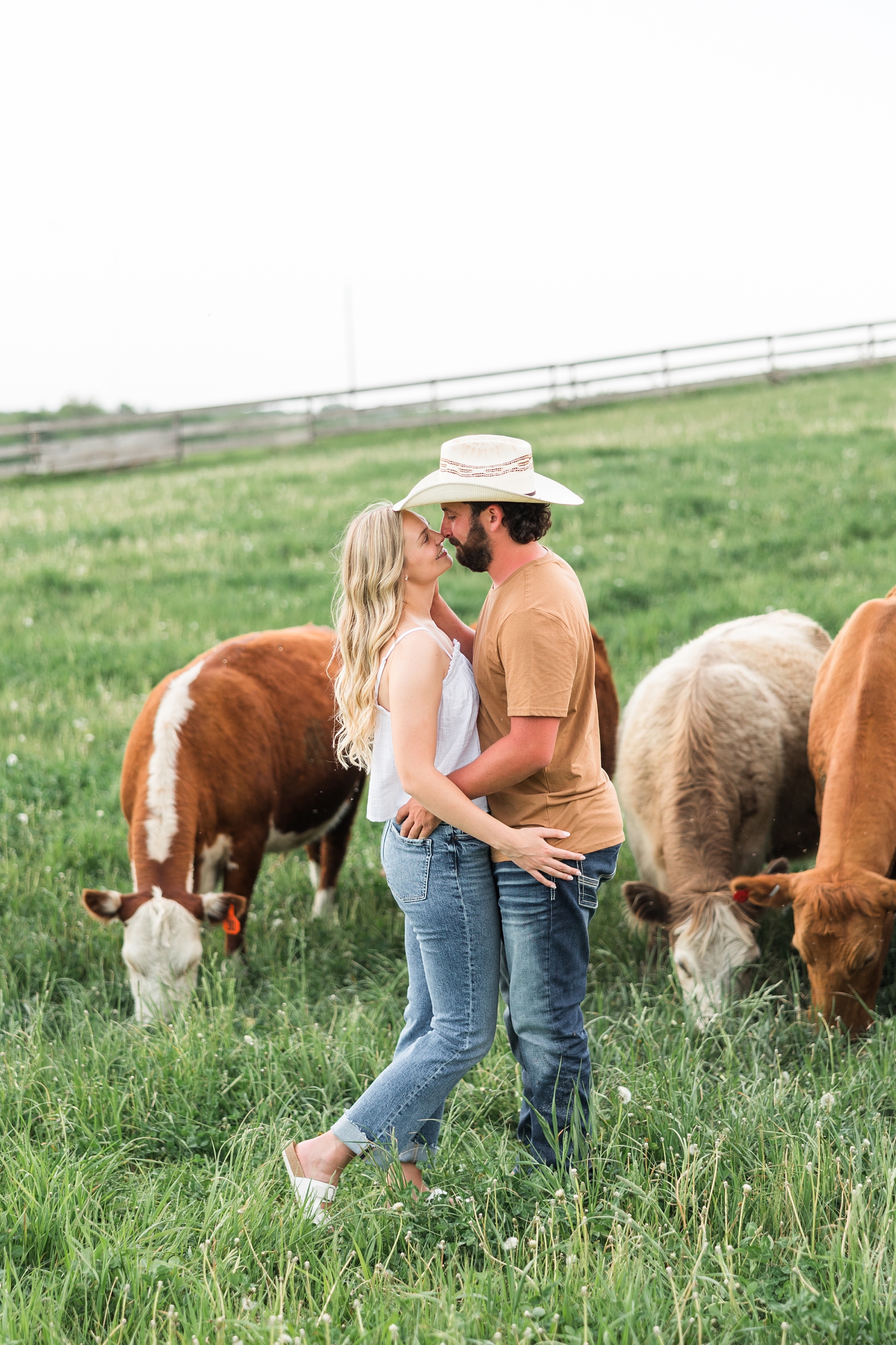 Dawson and Jade embrace closely as they touch noses in the middle of an Iowa cattle pastures surrounded by cows | CB Studio