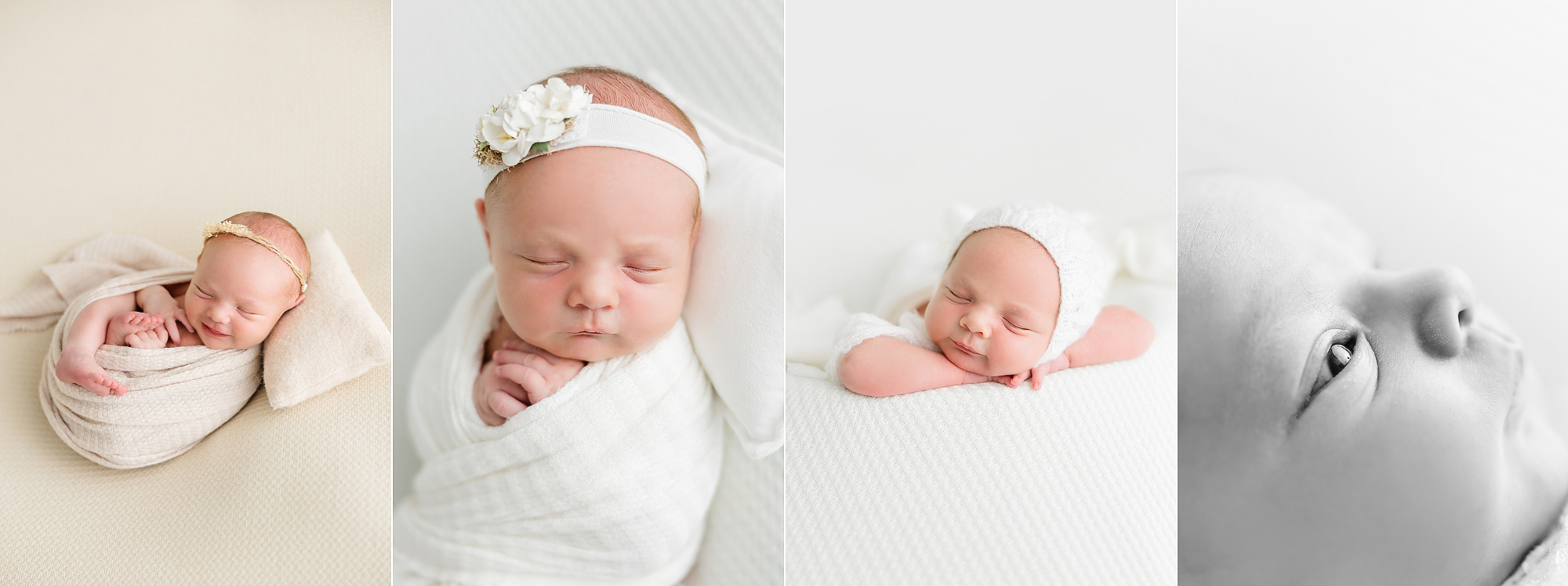 Introducing Baby Scottie!