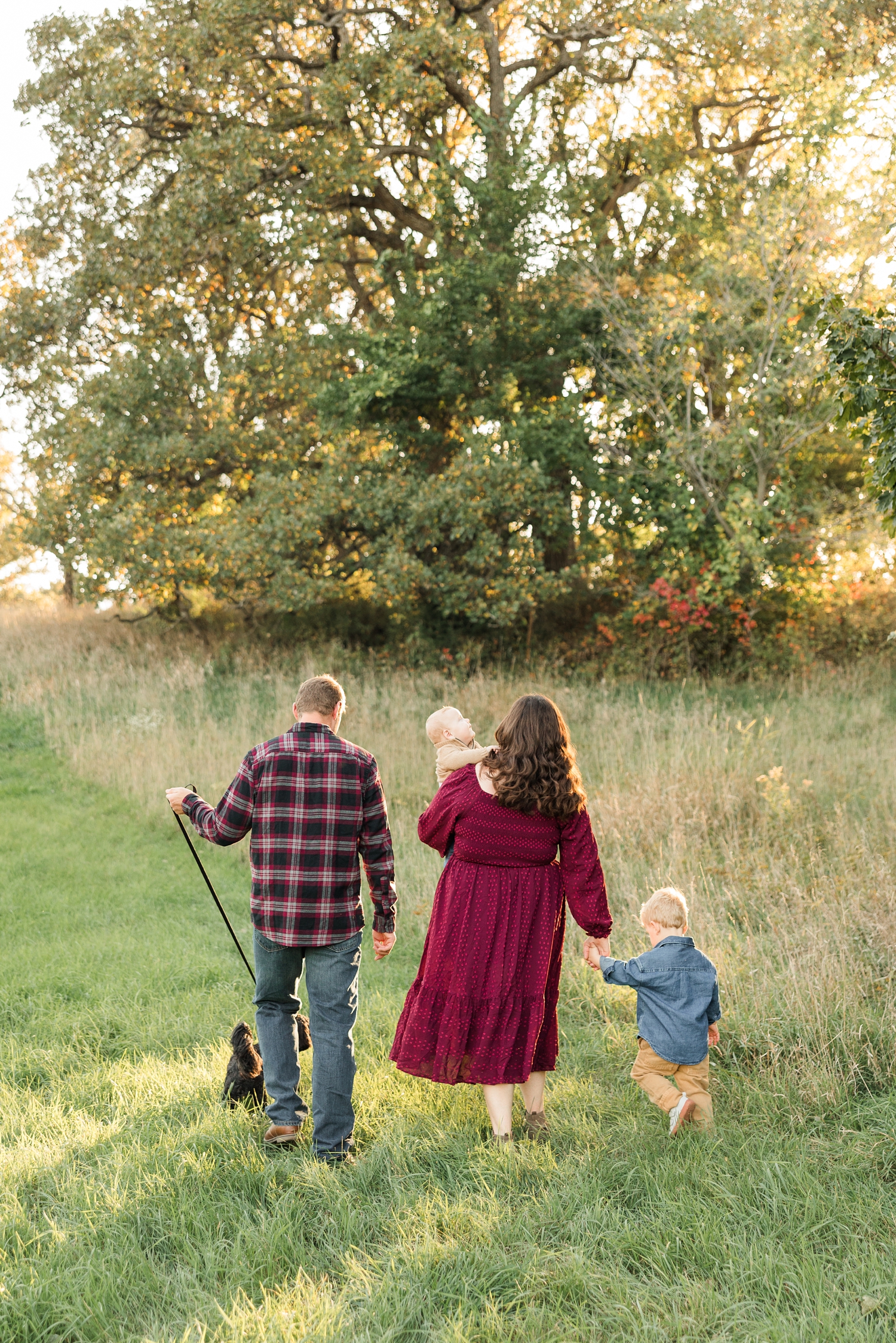 The Fischels family walks away through a fall grassy pasture lined with oak trees as sun shines through the leaves | CB Studio